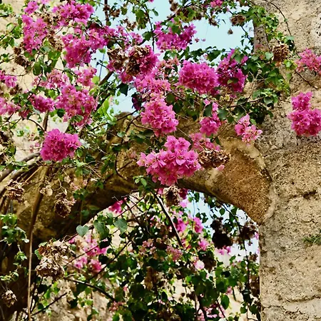 Penelope Garden House Old Town Родос