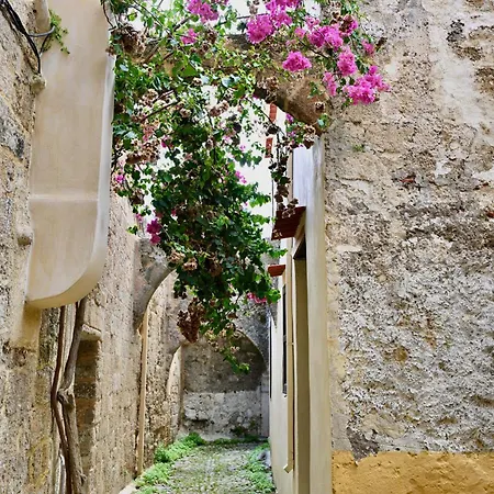 Daire Penelope Garden House Old Town *